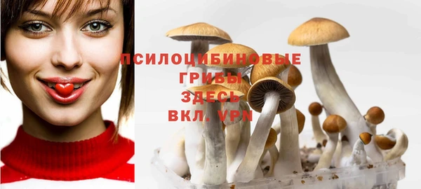 не бодяженный Нефтекумск