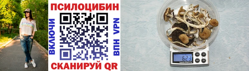 Псилоцибиновые грибы Psilocybe Тутаев