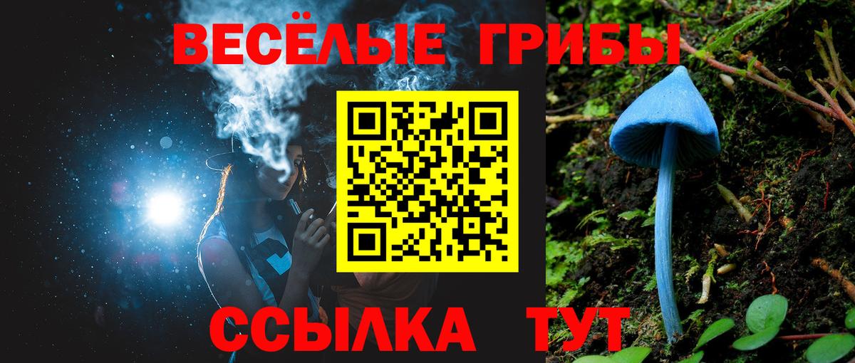 Галлюциногенные грибы Magic Shrooms  как найти   Псилоцибиновые грибы Psilocybine cubensis  Тутаев  Вход с VPN 